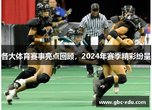 各大体育赛事亮点回顾，2024年赛季精彩纷呈