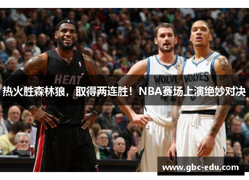 热火胜森林狼，取得两连胜！NBA赛场上演绝妙对决